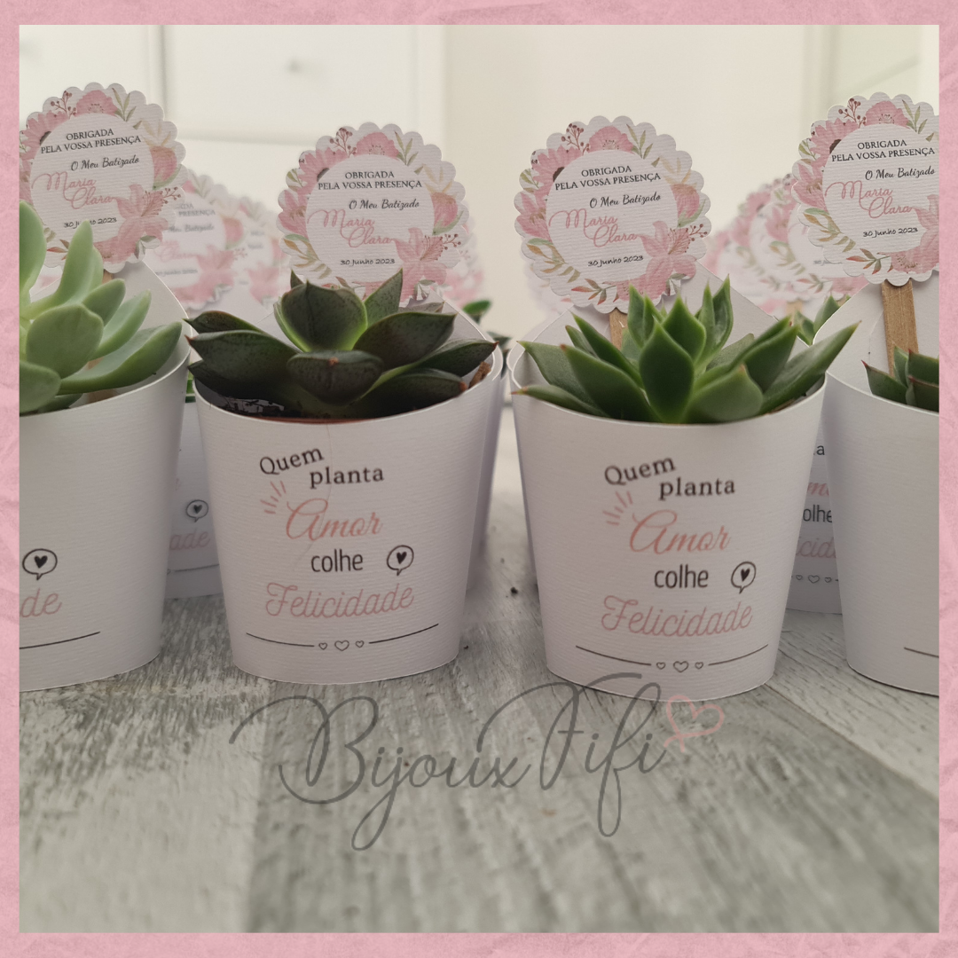 Suculenta em vaso "Pink Garden"