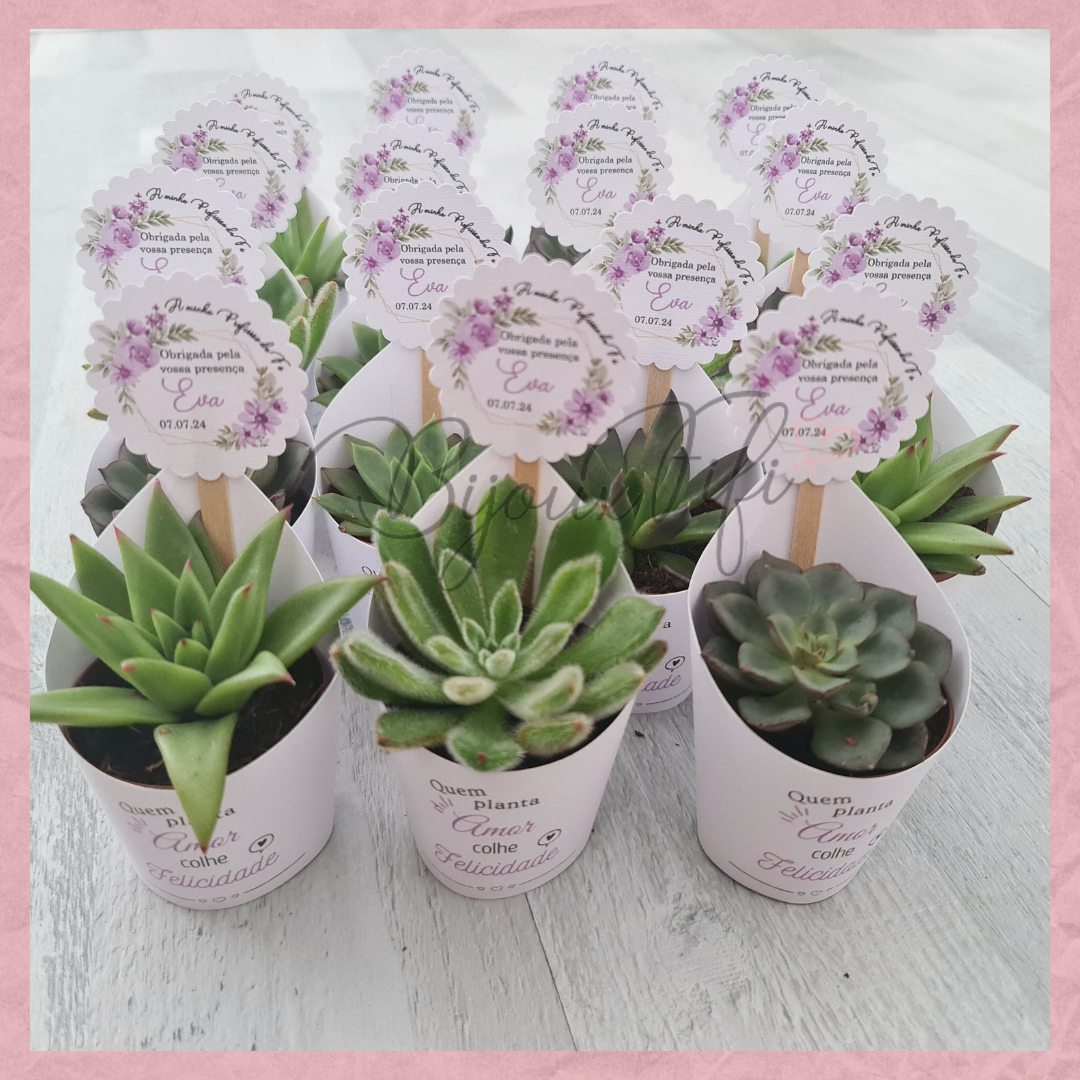 Suculenta em vaso "Lilac Garden"