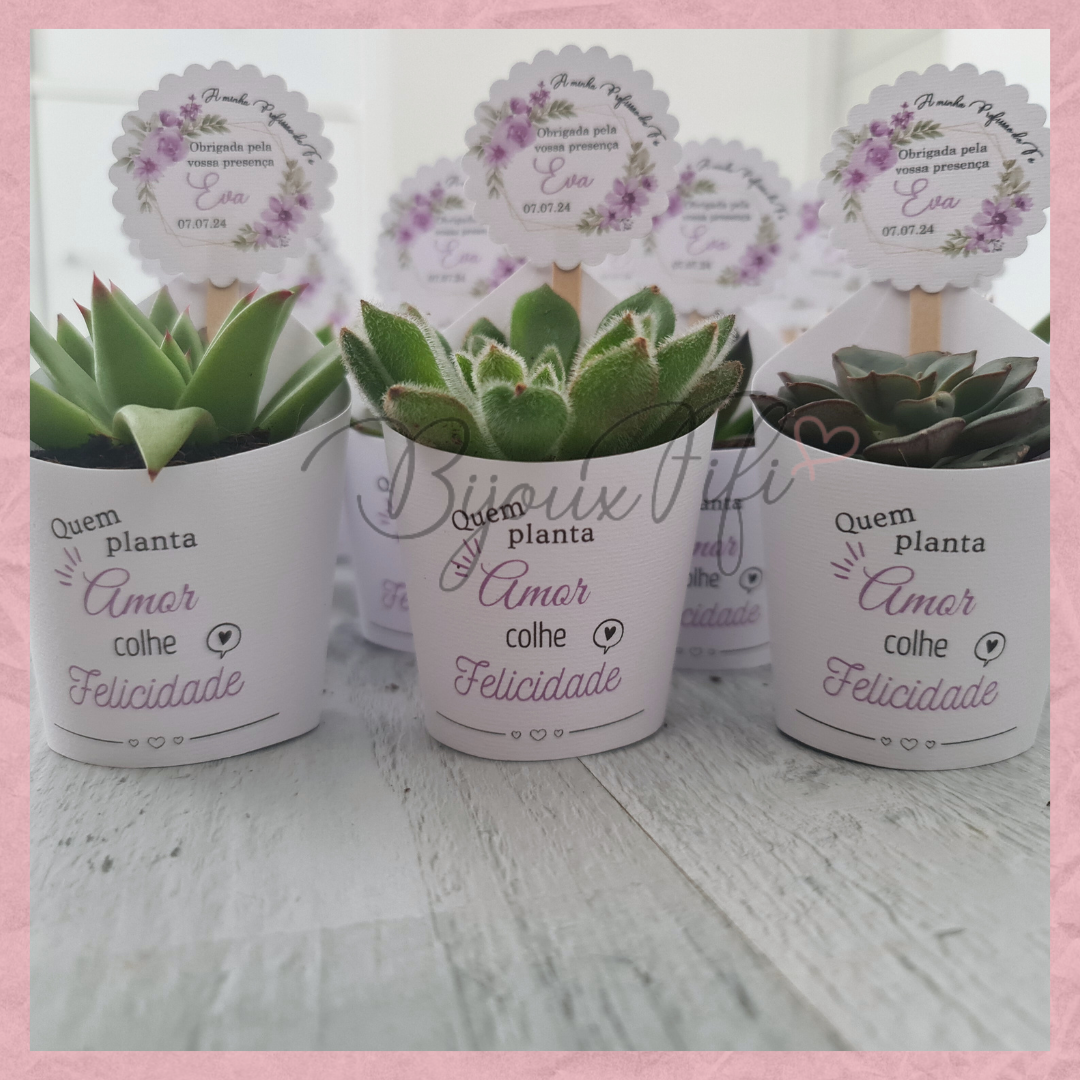 Suculenta em vaso "Lilac Garden"