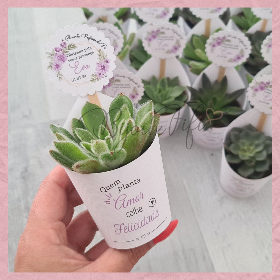 Suculenta em vaso "Lilac Garden"