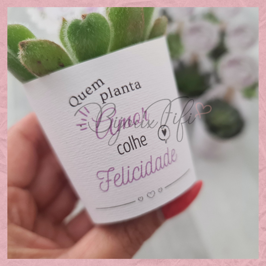 Suculenta em vaso "Lilac Garden"