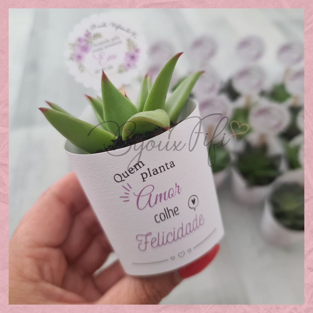 Suculenta em vaso "Lilac Garden"